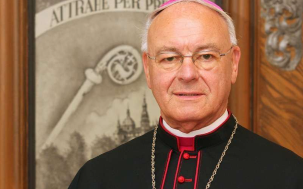 Catholic bishop says Pope Francis is deeply concerned about German Church