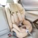 Could car seat laws really be lowering birthrates?