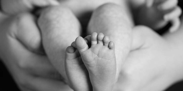 As heartbeat abortion bill passes key hurdle, Charleston diocese welcomes progress