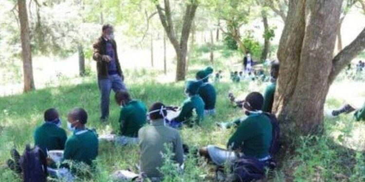 Kenyan Catholics add ‘classrooms’ under trees in response to pandemic