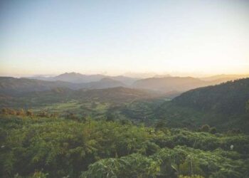 US bishops express support for Biden’s environmental actions