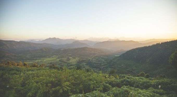 US bishops express support for Biden’s environmental actions