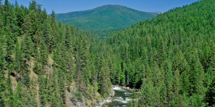 On Climate, Biden’s Administration Needs to Combat Zombie Trumpism Quickly