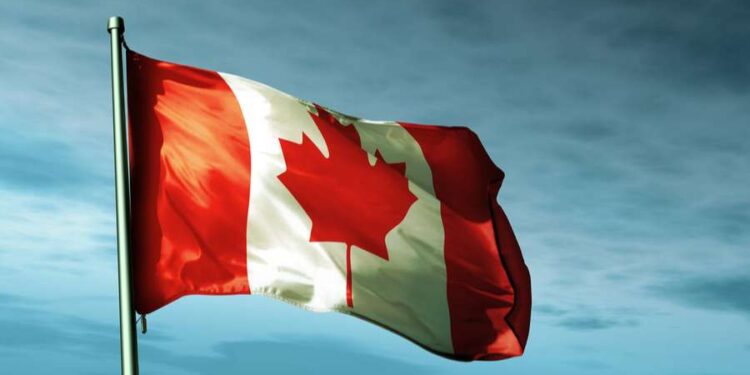 Canadian bishops’ charitable arm to end partnerships with groups in conflict with Catholic teaching