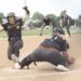 UDA won’t go away, rallies past Delone in 2A softball semifinals | Sports