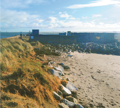 Snapshot of a Dublin Past along the Shelly Banks