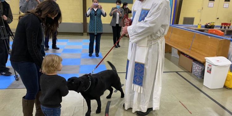 ‘Healer in chief’: Q&A with region’s new Catholic bishop, the Rev. William D. Byrne | Local News