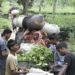 Bangladeshi tea workers angry over new terms
