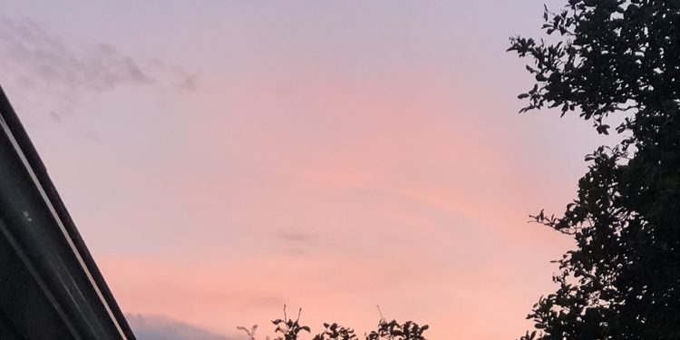 Discovering light in the darkness