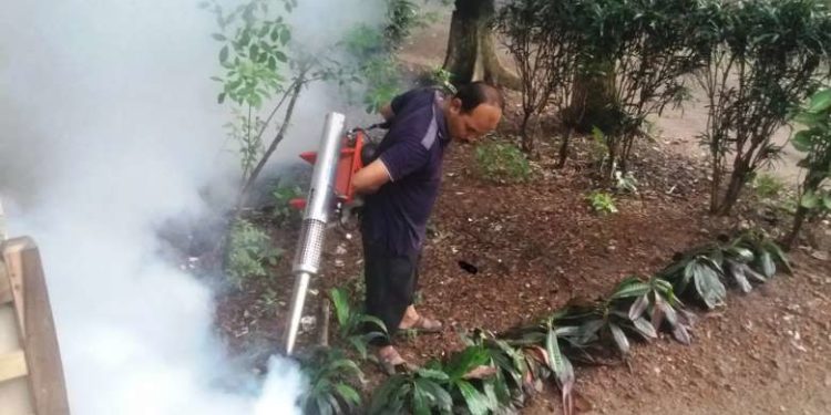 Bangladesh sees rise in cases of dengue fever