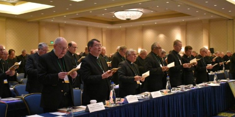 Ready for the big bishops’ meeting? Here are 8 things you need to know