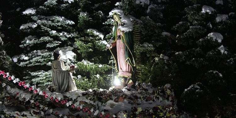 Chicago suburb is home to a major Guadalupe shrine