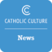 Keynote speaker at meeting of cardinals, theologians sees ‘unprecedented’ rebellion against Vatican II in US | News Headlines