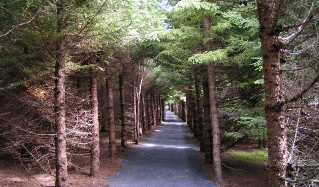 Special events highlight magical Mizpah schedule in Grand Isle