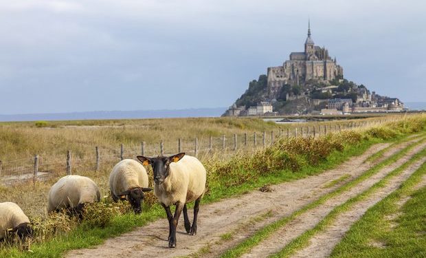 French Catholic Agrarianism – The American Conservative