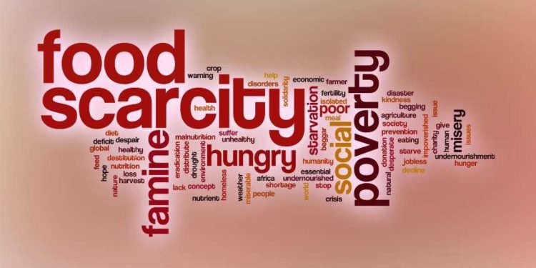 Pope laments the ‘paradox of abundance’