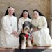 Meet the therapy dog trained by Mercedarian sisters to help the students they serve