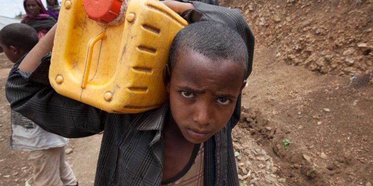 CRS campaign to build Catholic response to climate change