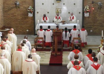 Catholic Bishops in Southern Africa Decry Rooted Racial Division in Parishes