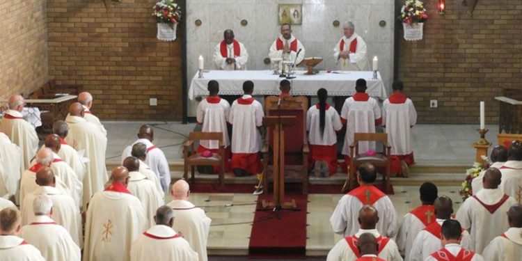 Catholic Bishops in Southern Africa Decry Rooted Racial Division in Parishes
