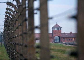 Holocaust remembrance more crucial than ever, say Jewish-Catholic relations scholars