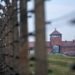Holocaust remembrance more crucial than ever, say Jewish-Catholic relations scholars