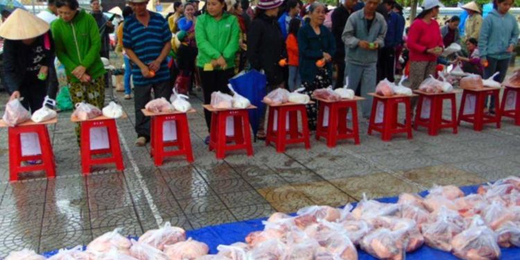 Vietnam Catholics bring ‘Tet’ joy to people in need