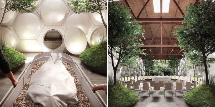 The Incarnation and the Value of the Human Body