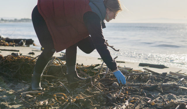 The Church of Jesus Christ of Latter-day Saints offers aid after disasters