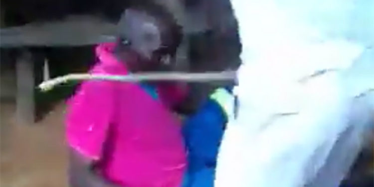 Catholic Bishops Condemn Murewa North Violence – Pindula News