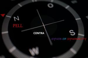 Pell Contra Synodality: The Last Written Words of George Cardinal Pell