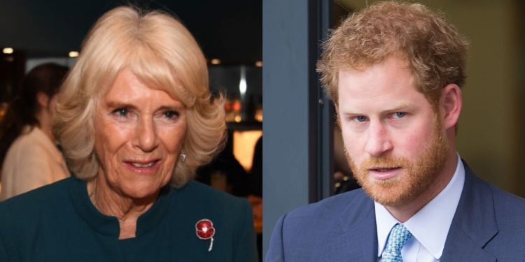 Prince Harry Calls Camilla a ‘Villain’ and Says She Was ‘Dangerous’