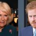 Prince Harry Calls Camilla a ‘Villain’ and Says She Was ‘Dangerous’