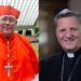 Synod organizers tell Continental Assemblies not to ‘impose an agenda’ on discussions