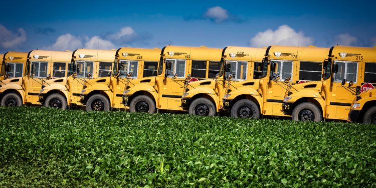 New Iowa ‘school choice’ program a boon for Catholic schools, bishop says