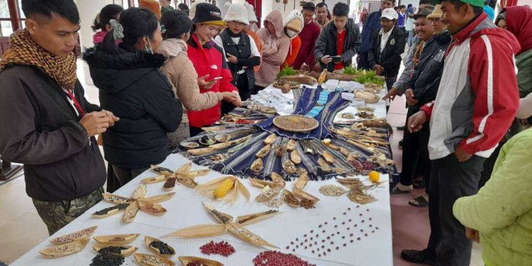 Vietnam’s ethnic farmers go green with organic farming