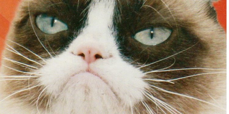 Whatever Biblical Principle | Kristin Wilson