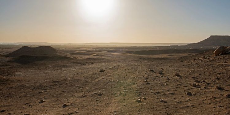 St. Anthony of the Desert, a father of monasticism and co-patron of animals