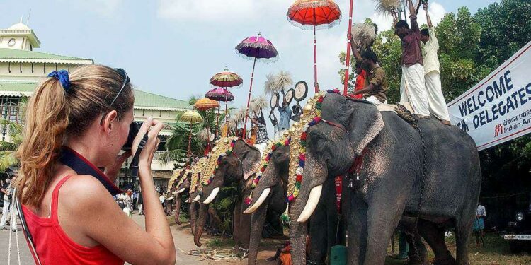 Indian Church leader urges govt to save people from elephant attacks