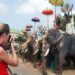 Indian Church leader urges govt to save people from elephant attacks