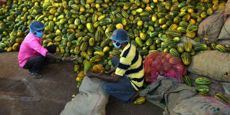 Indian diocese starts Lenten drive to help homeless