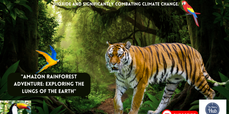 “The Amazon Rainforest: Our Planet’s Breath| Biodiversity, Conservation, and Nature’s Wonders!”