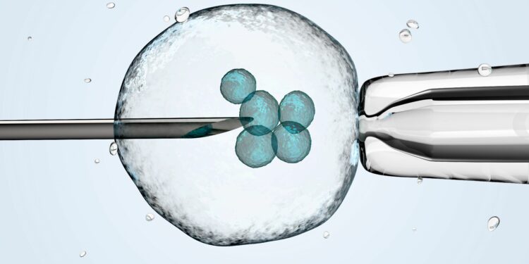 What is the Catholic Church’s position on IVF?