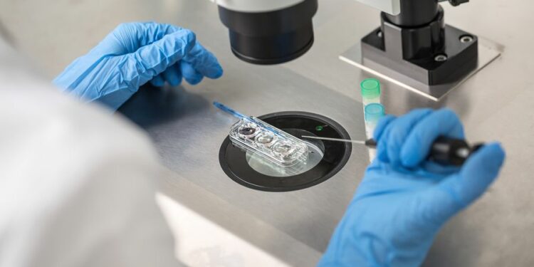 After Alabama Supreme Court’s embryo personhood ruling, what comes next?