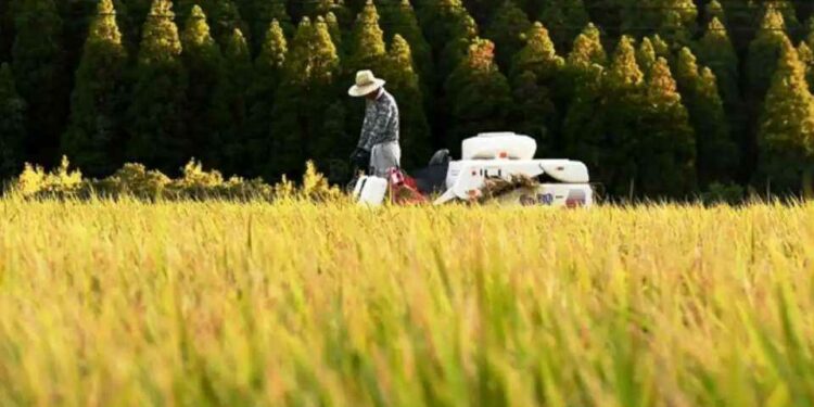 Japan’s foreign trainee program success lies in the details