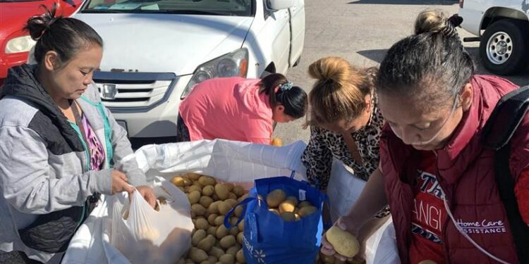 ‘Come and get it’: Texas Catholic charity gives away nearly 50,000 pounds of potatoes