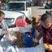 ‘Come and get it’: Texas Catholic charity gives away nearly 50,000 pounds of potatoes