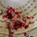 Discover the Tradition of Pentecost Petals in Rome