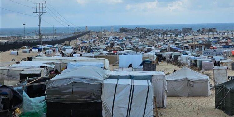 Catholic Relief Services unable to provide aid to southern Gaza amid ongoing war