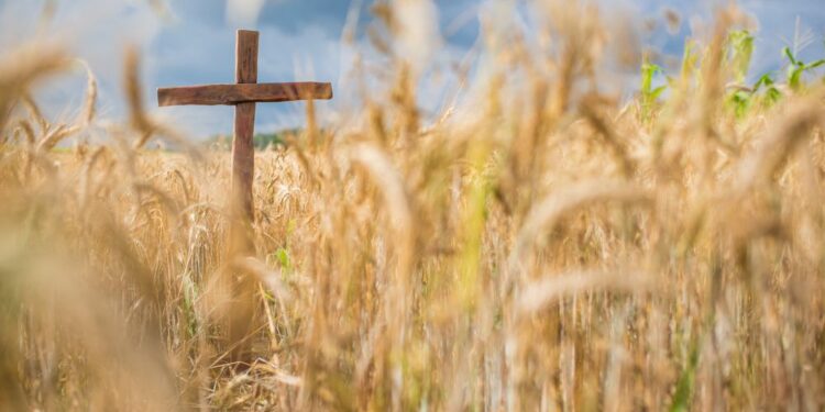 Apostolate champions care of creation and souls in support of Catholics in rural areas